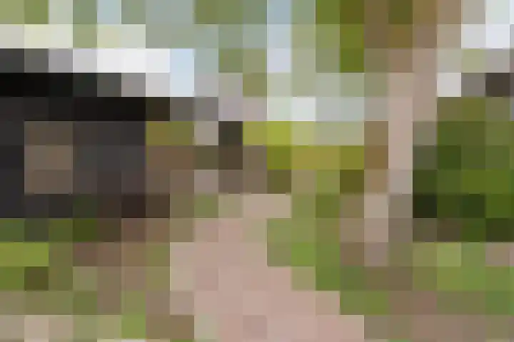 Wagenbroeken 6 Casteren thumbnail 43
