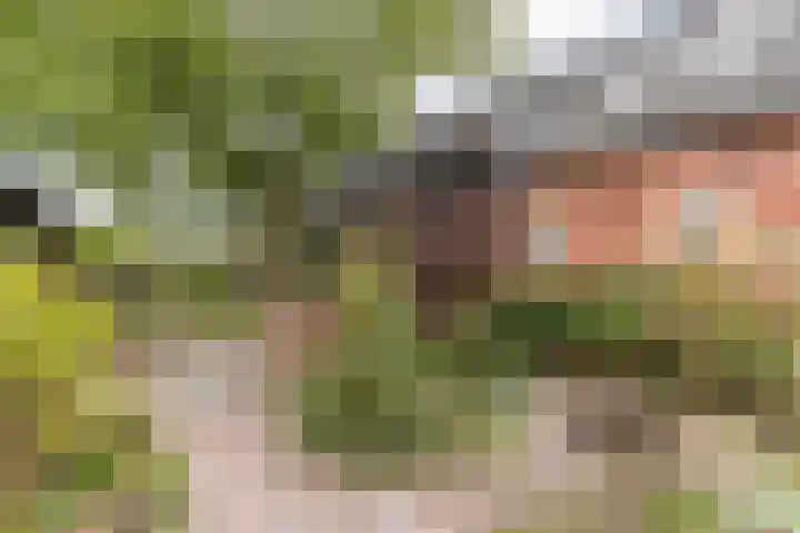 Wagenbroeken 6 Casteren thumbnail 44