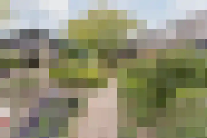 Wagenbroeken 6 Casteren thumbnail 45