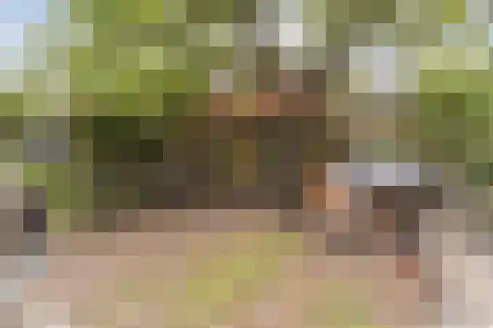 Wagenbroeken 6 Casteren thumbnail 46