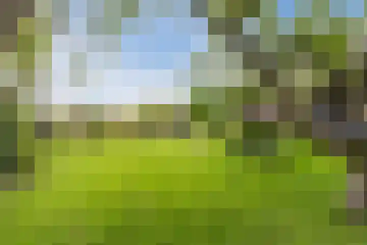 Wagenbroeken 6 Casteren thumbnail 47