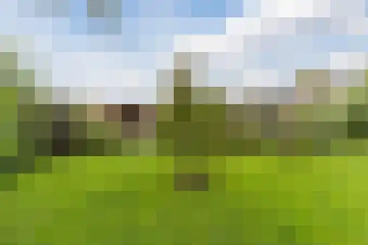 Wagenbroeken 6 Casteren thumbnail 48