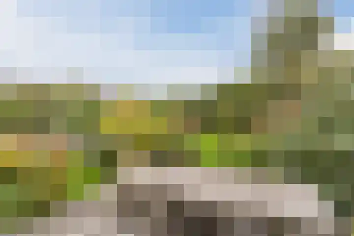 Wagenbroeken 6 Casteren thumbnail 49