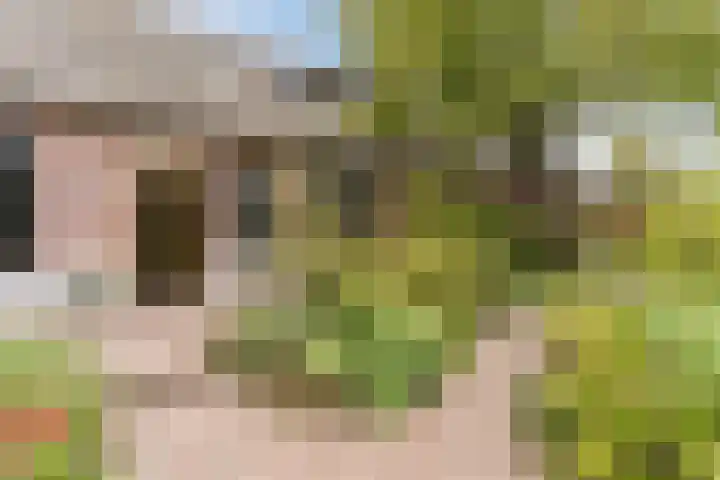 Wagenbroeken 6 Casteren thumbnail 5