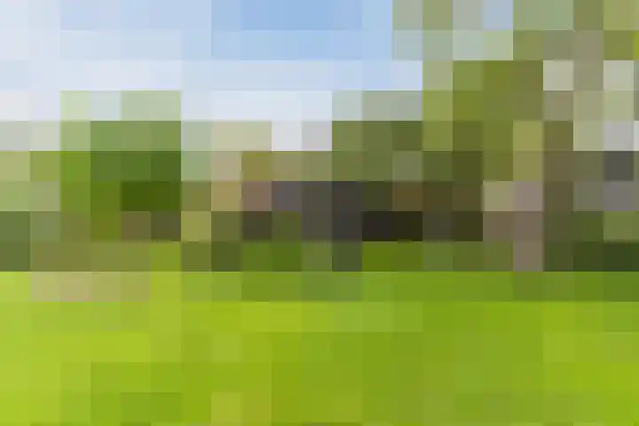 Wagenbroeken 6 Casteren thumbnail 50