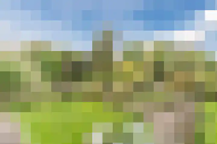 Wagenbroeken 6 Casteren thumbnail 51