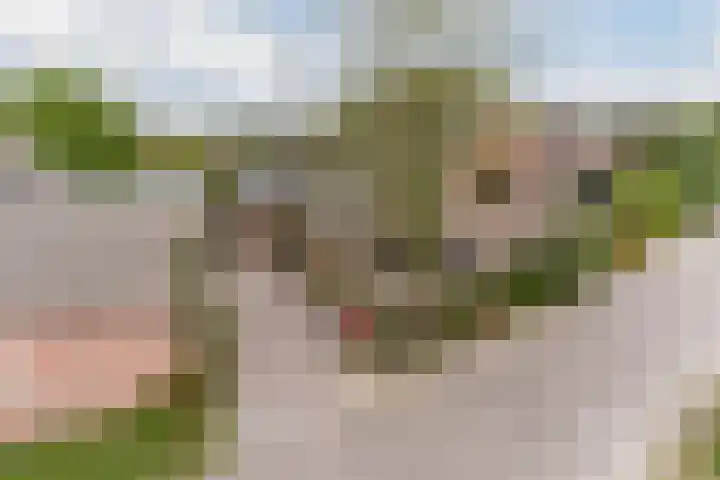 Wagenbroeken 6 Casteren thumbnail 59