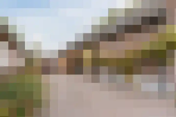 Wagenbroeken 6 Casteren thumbnail 60