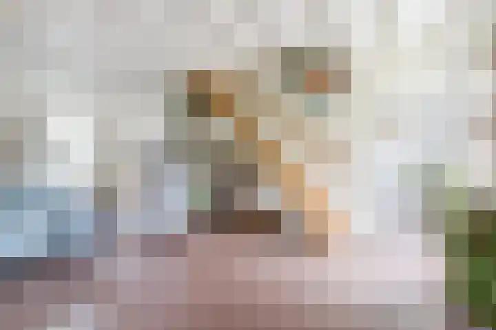 Wagenbroeken 6 Casteren thumbnail 63