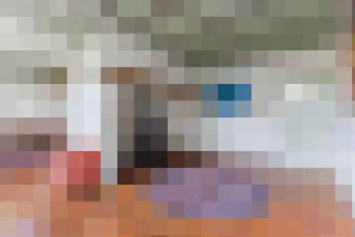 Wagenbroeken 6 Casteren thumbnail 7