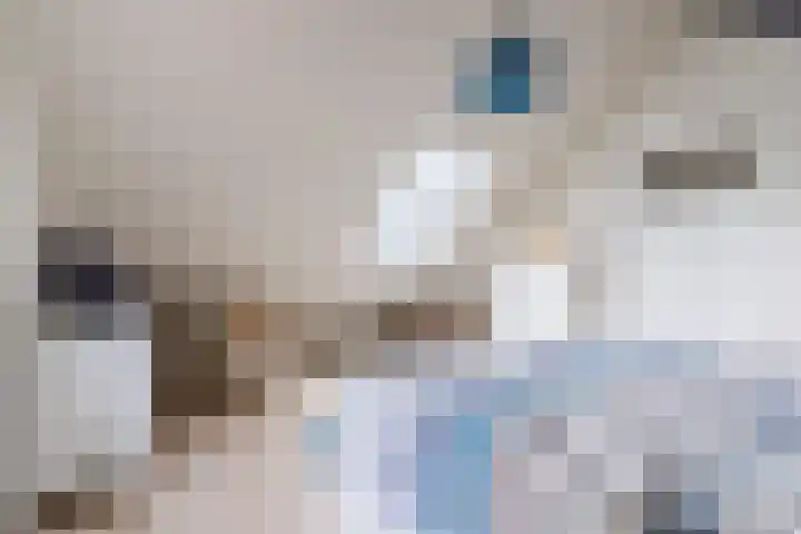 Wagenbroeken 6 Casteren thumbnail 75