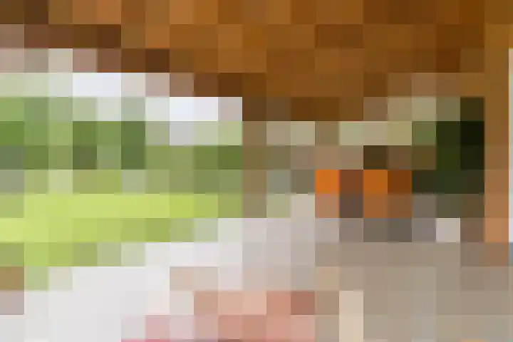 Wagenbroeken 6 Casteren thumbnail 78