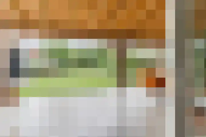 Wagenbroeken 6 Casteren thumbnail 79