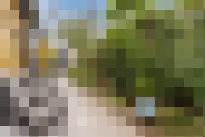 Wagenbroeken 6 Casteren thumbnail 80