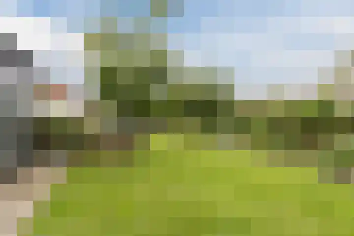 Wagenbroeken 6 Casteren thumbnail 82