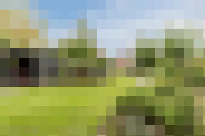 Wagenbroeken 6 Casteren thumbnail 83
