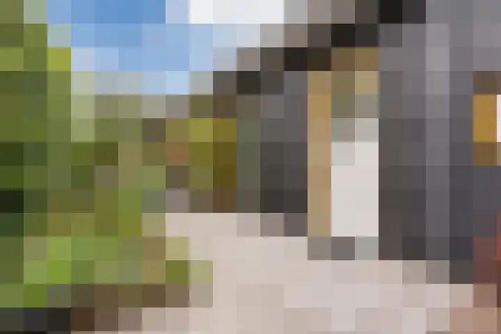 Wagenbroeken 6 Casteren thumbnail 84