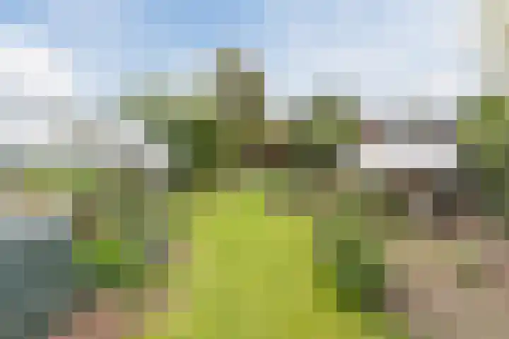 Wagenbroeken 6 Casteren thumbnail 85