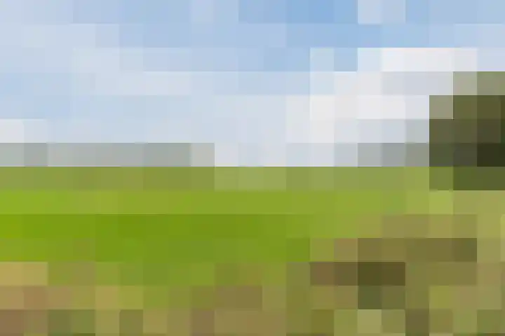 Wagenbroeken 6 Casteren thumbnail 87