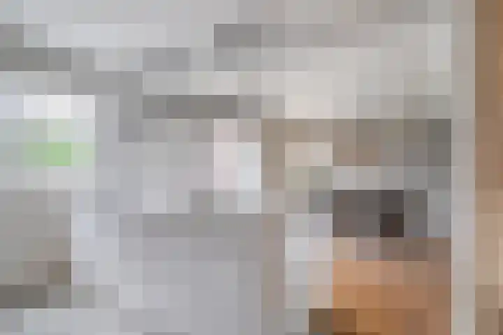 Wagenbroeken 7 Casteren thumbnail 10