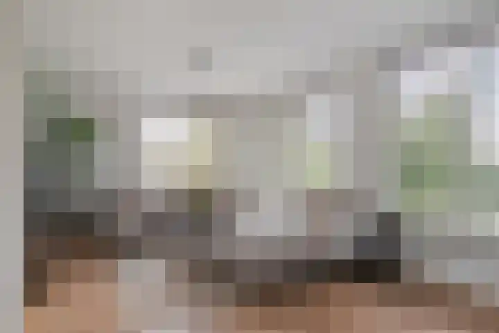 Wagenbroeken 7 Casteren thumbnail 13