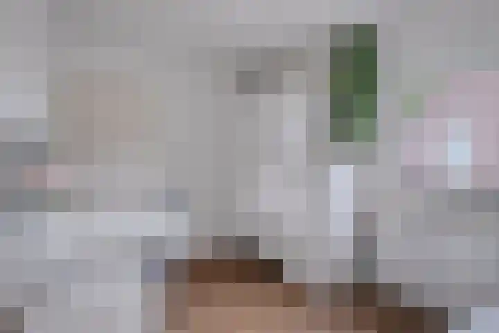 Wagenbroeken 7 Casteren thumbnail 28