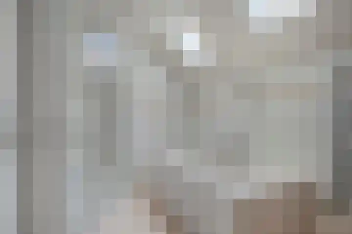 Wagenbroeken 7 Casteren thumbnail 33