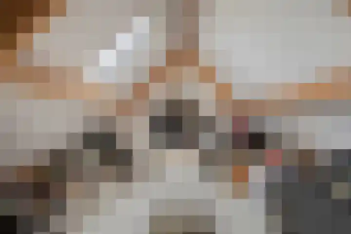Wagenbroeken 7 Casteren thumbnail 38