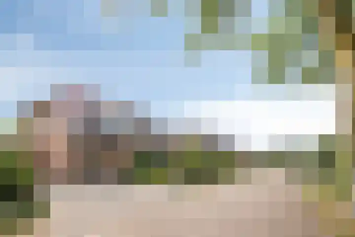 Wagenbroeken 7 Casteren thumbnail 4