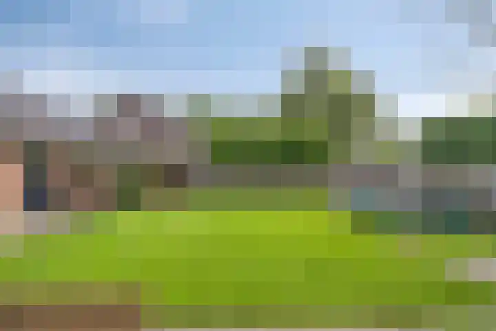 Wagenbroeken 7 Casteren thumbnail 44