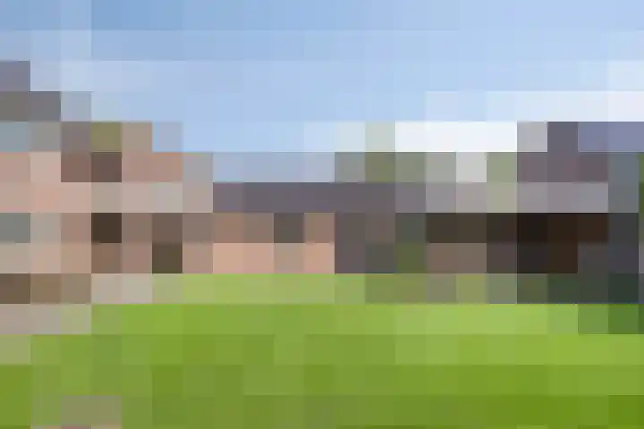 Wagenbroeken 7 Casteren thumbnail 45
