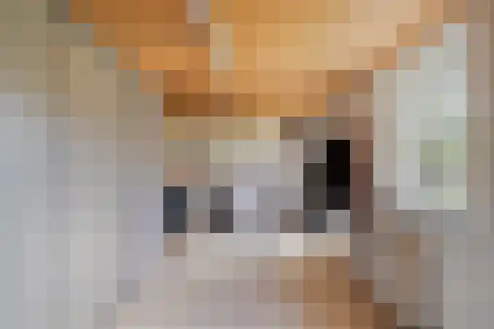Wagenbroeken 7 Casteren thumbnail 49