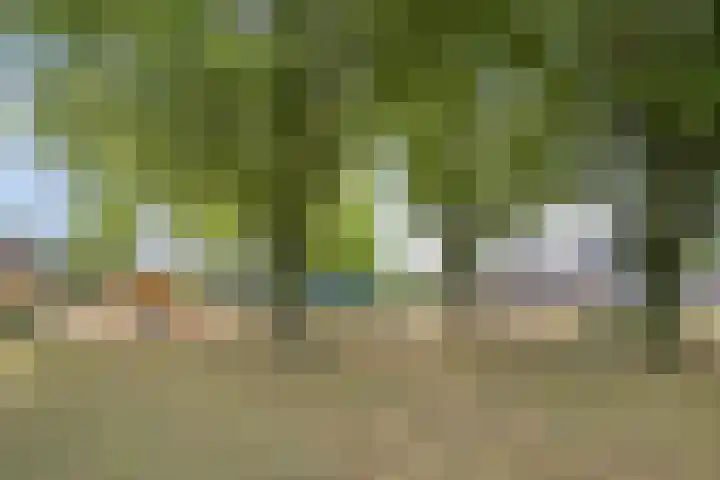 Wagenbroeken 7 Casteren thumbnail 50