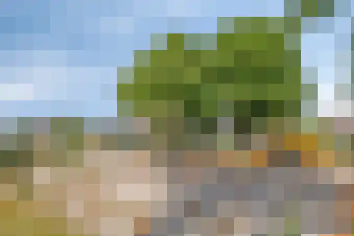 Wagenbroeken 7 Casteren thumbnail 51
