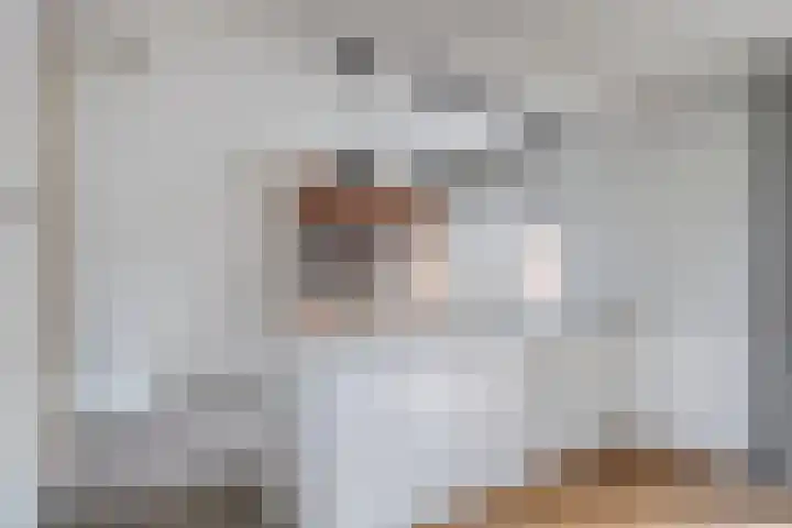 Wagenbroeken 7 Casteren thumbnail 8