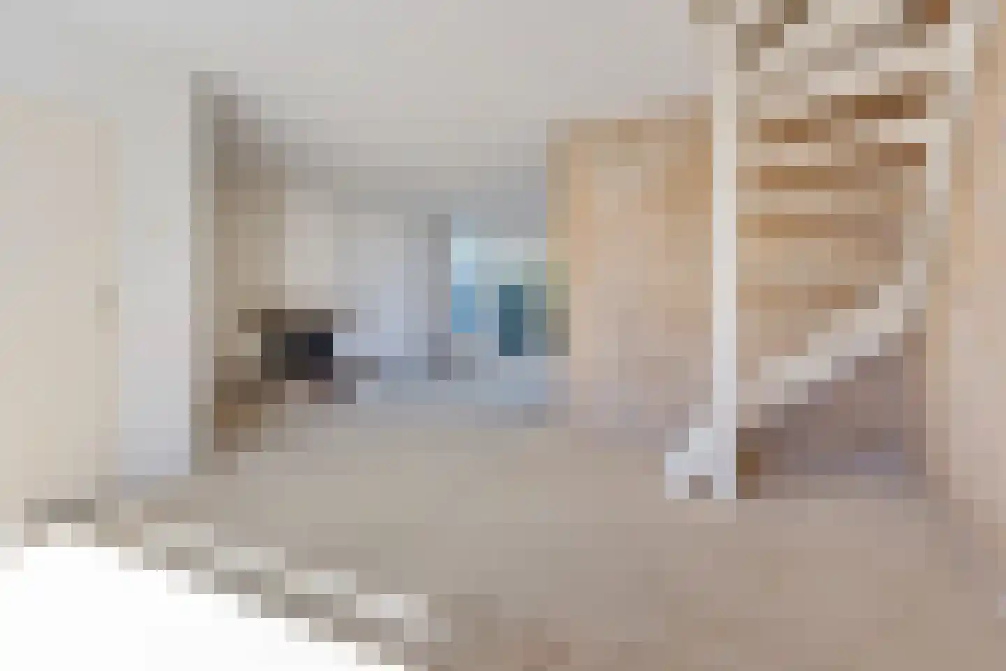 Wagenbrugge 28 Sneek thumbnail 6