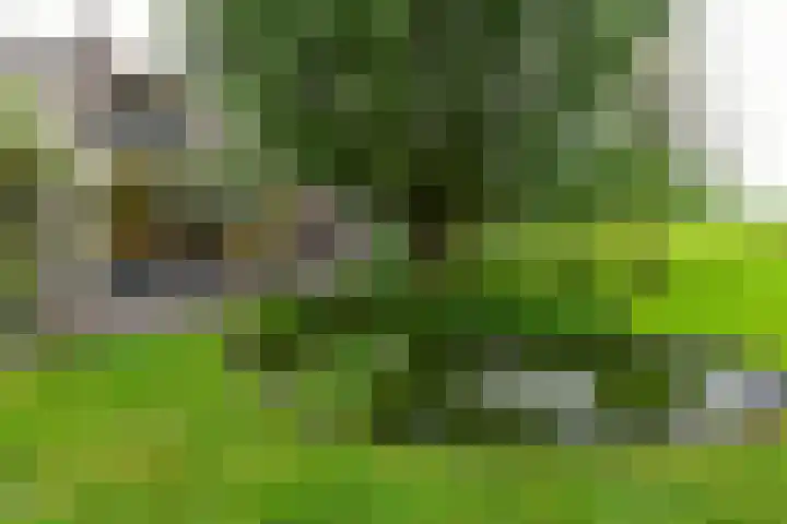 Wagendijk 10 a Kockengen thumbnail 29