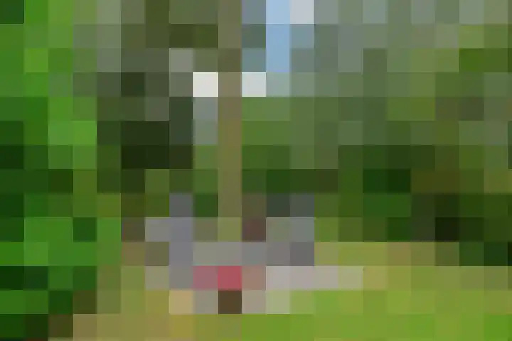 Wagendijk 10 a Kockengen thumbnail 31
