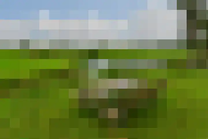 Wagendijk 10 a Kockengen thumbnail 32