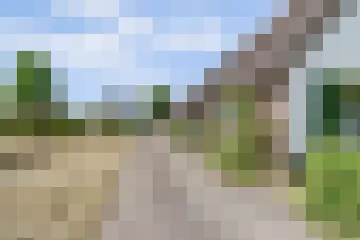 Wagendijk 16 Kockengen thumbnail 4