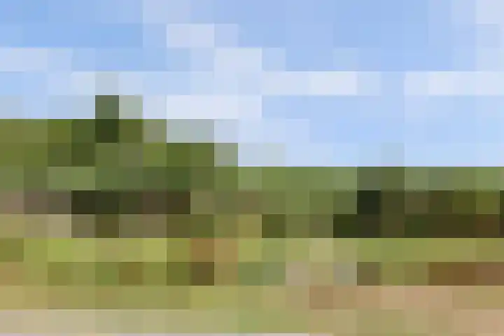 Wagendijk 16 Kockengen thumbnail 5