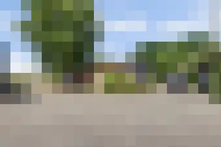 Wagendijk 16 Kockengen thumbnail 54