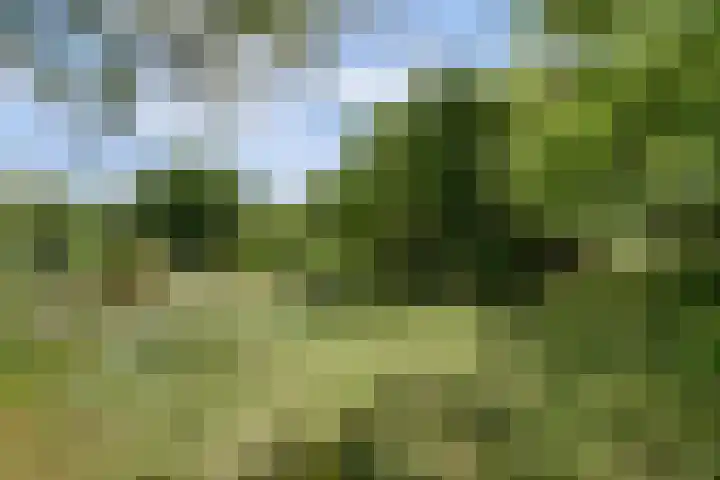 Wagendijk 16 Kockengen thumbnail 61
