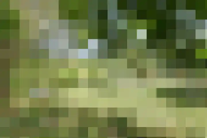 Wagendijk 16 Kockengen thumbnail 62