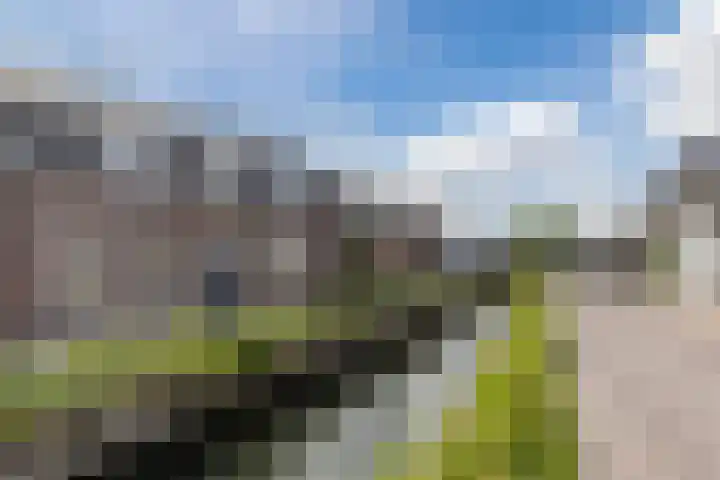 Wagendijk 38 Kockengen thumbnail 5