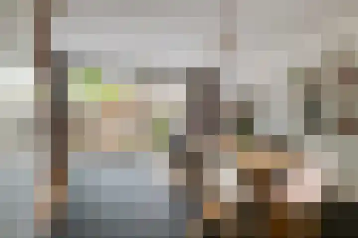 Wagendwarsstraat 19 Lisse thumbnail 5