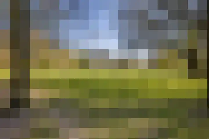 Wagendwarsstraat 49 Utrecht thumbnail 43