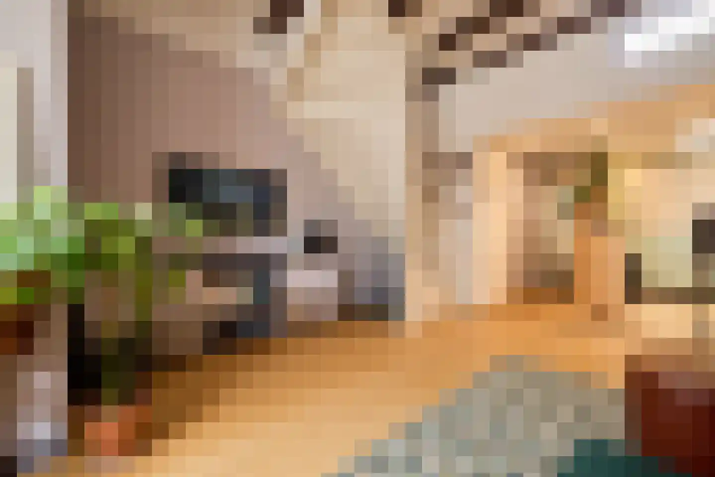 Wagendwarsstraat 51 Utrecht thumbnail 5