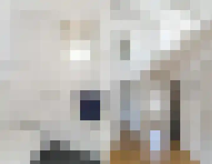 Wagendwarsstraat 58 Utrecht thumbnail 30