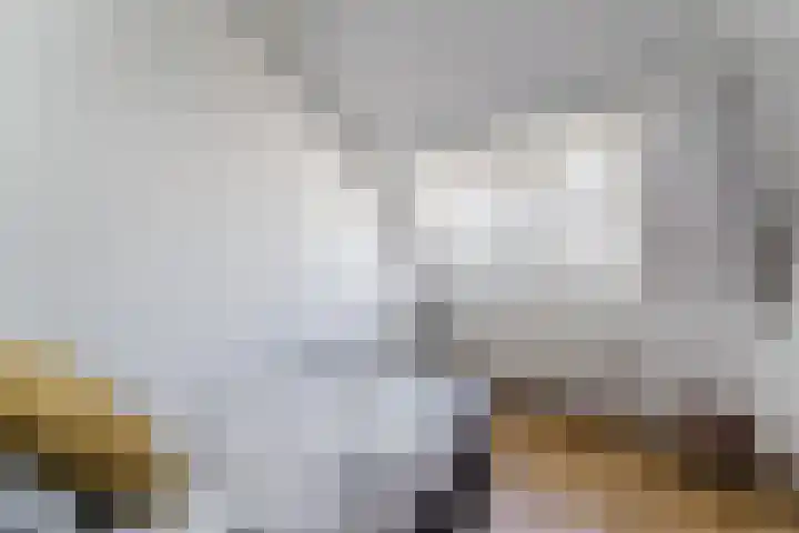 Wagendwarsstraat 58 Utrecht thumbnail 38